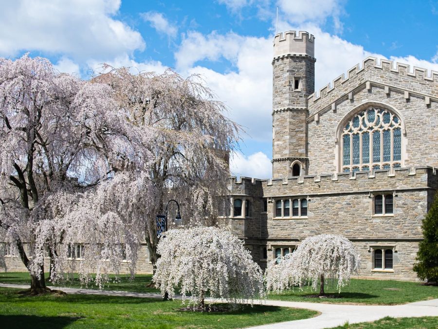 Bryn Mawr College campus with blossoming trees